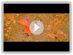 Fanaa-- Mere Haath Mein Tera Hath Ho ( HighQuality )
