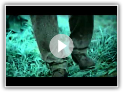 Tanha Dil, Tanha SafaR( BY SHAAN)